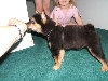 Kodiak at 3 months