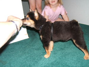 Kodiak at 3 months