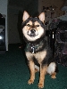 Sittin pretty Kodiak 8 months