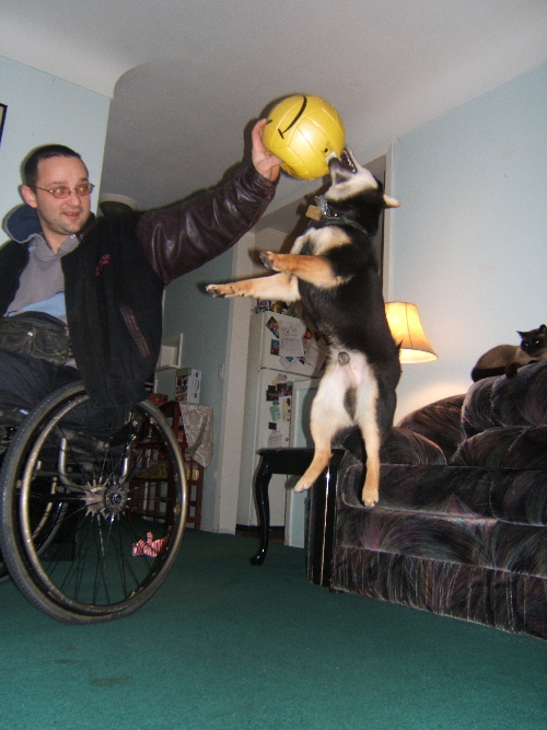 jumpin for his toy Kodiak at 8 months