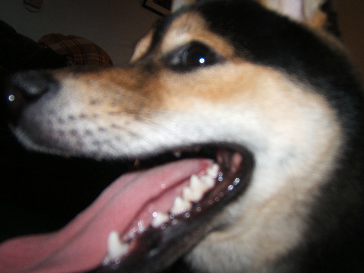 Ready for my close up mom!