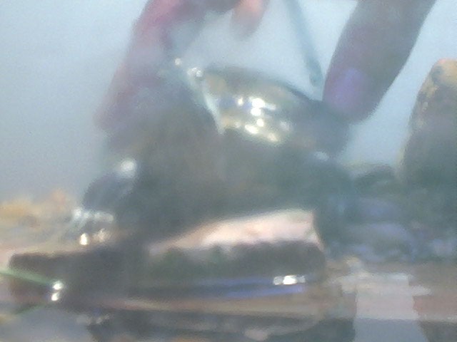 Franklin 05
