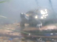 Franklin 06