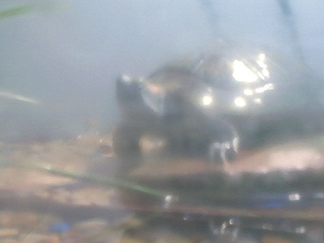 Franklin 06