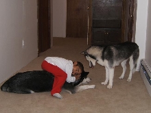 Ryan with the pups