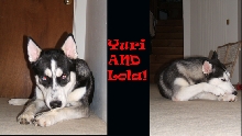 Yuri and Lola