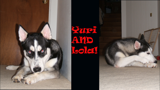 Yuri and Lola