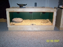 klauberi cage