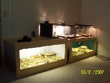MDF klauberi cages