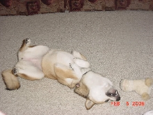 Play position