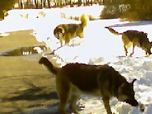 snow day