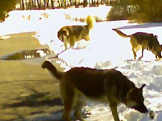 snow day