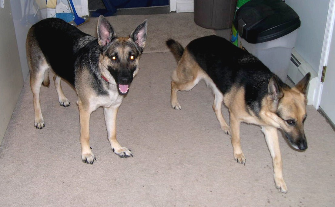 jenna & remy