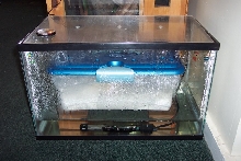 Incubator