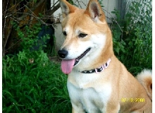 Abby