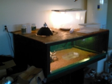 monitor enclosure