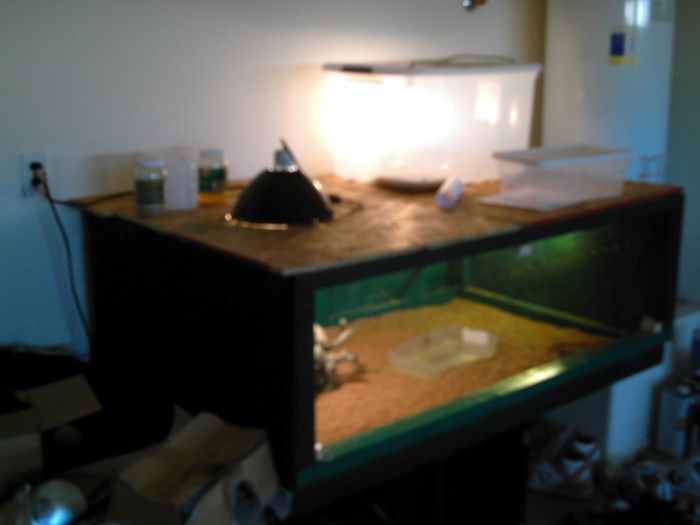 monitor enclosure