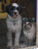 "Waiting" (Spencer and Simba)