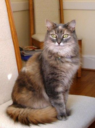 Tara on her throne