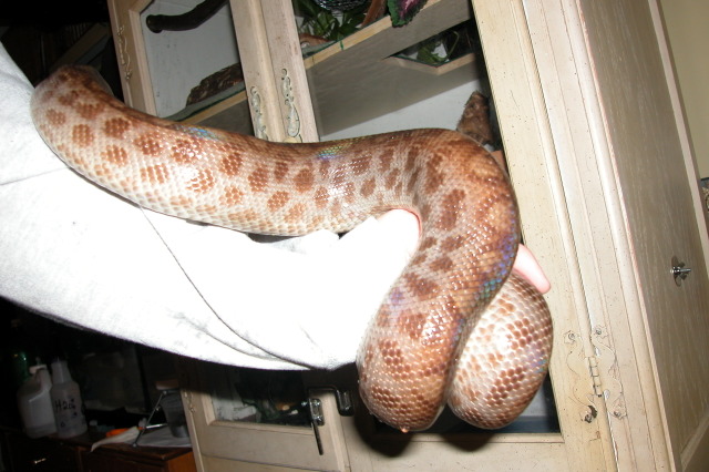 Nice spots
