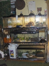 Tanks