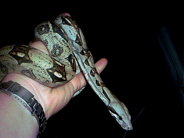 Kodi again