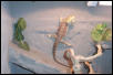 Stuck on Wall