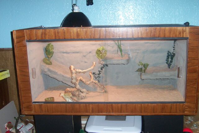 New Cage