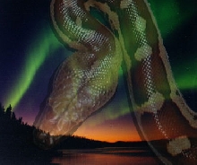 Aurora