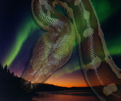 Aurora
