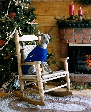christmas picture