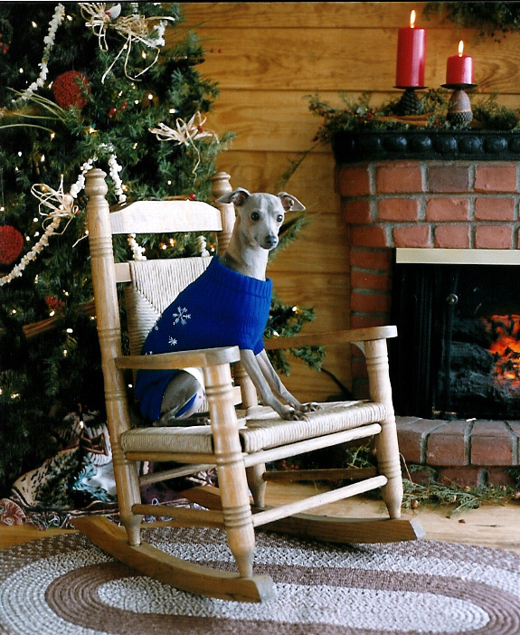 christmas picture