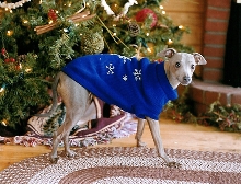 christmas picture