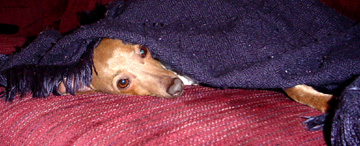 Please leave me alone!