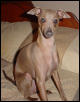 Zadie sitting pretty!