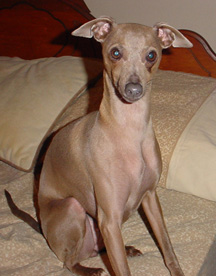 Zadie sitting pretty!