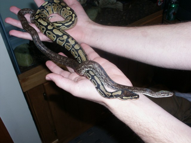 Lucian and Chiad