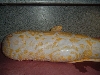 Tiger Albino Female 2