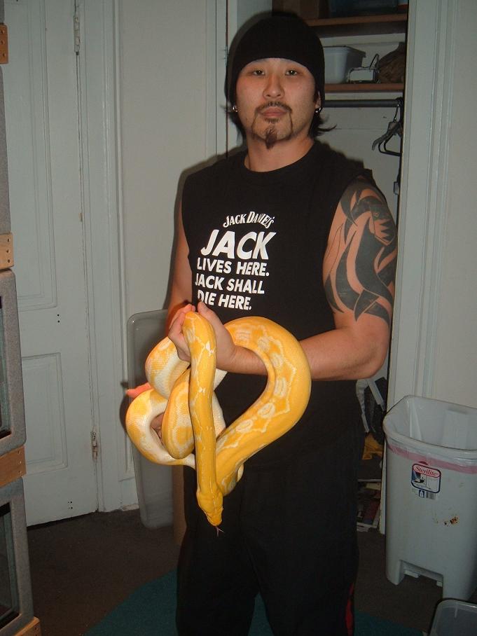 Tiger Albino Male 1