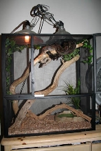luckys setup change