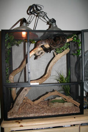 luckys setup change