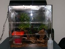 My acrylic cage !!