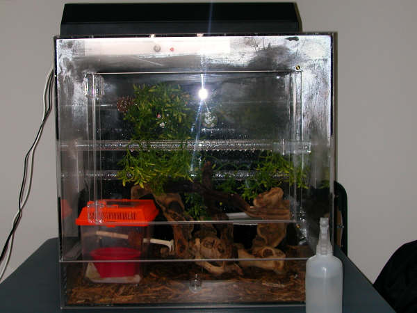 My acrylic cage !!