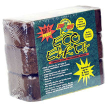 Echo Earth