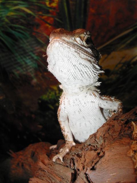 Good Picture of Max