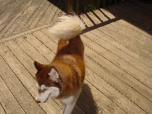 wigwag 02