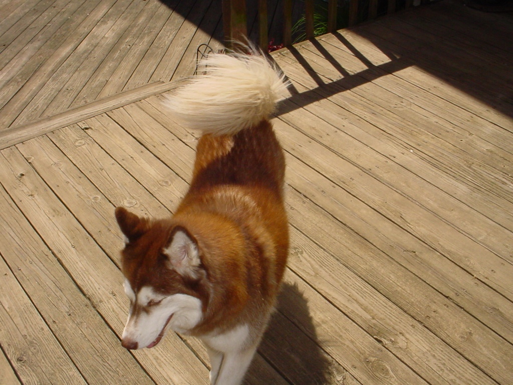 wigwag 02