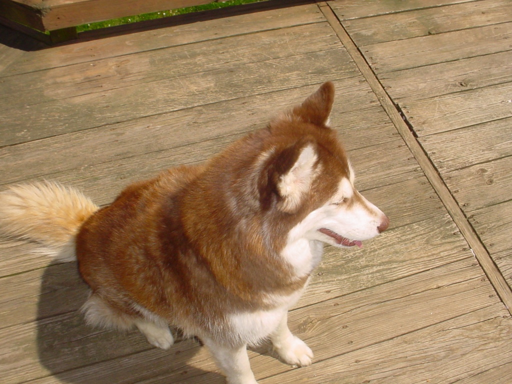 wigwag 06