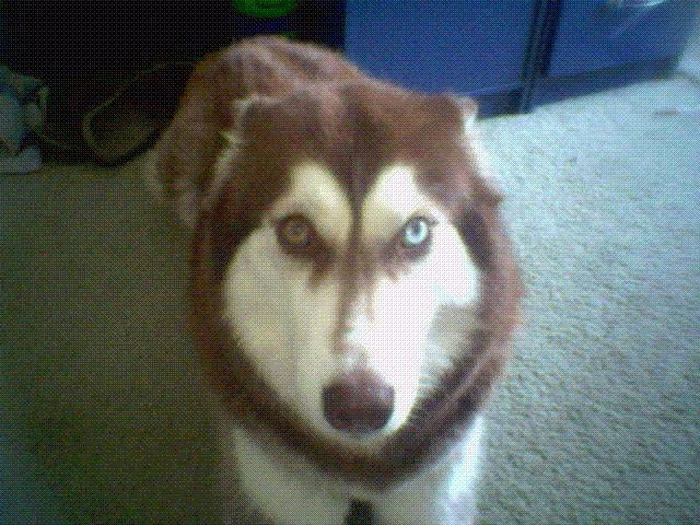 Wigwag2