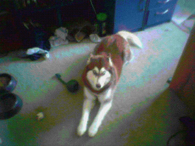 Wigwag1